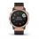 Fenix 6s Sapphire