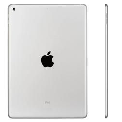 Apple iPad 10,2" (2021) Wi-Fi 256 ГБ, Silver (серебристый)